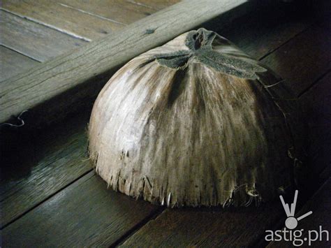 bunot in english dental term|BUNOT: Definition of the Tagalog word bunot in English..